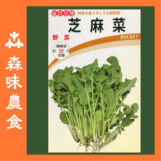 芝麻菜種子｜披撒生菜｜生菜種子｜30天可採| 10包送一包｜芝麻葉 沙拉｜超簡單入門｜開心農場｜居家種植｜蔬菜專業戶-規格圖10