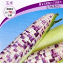 紫香甜糯玉米
