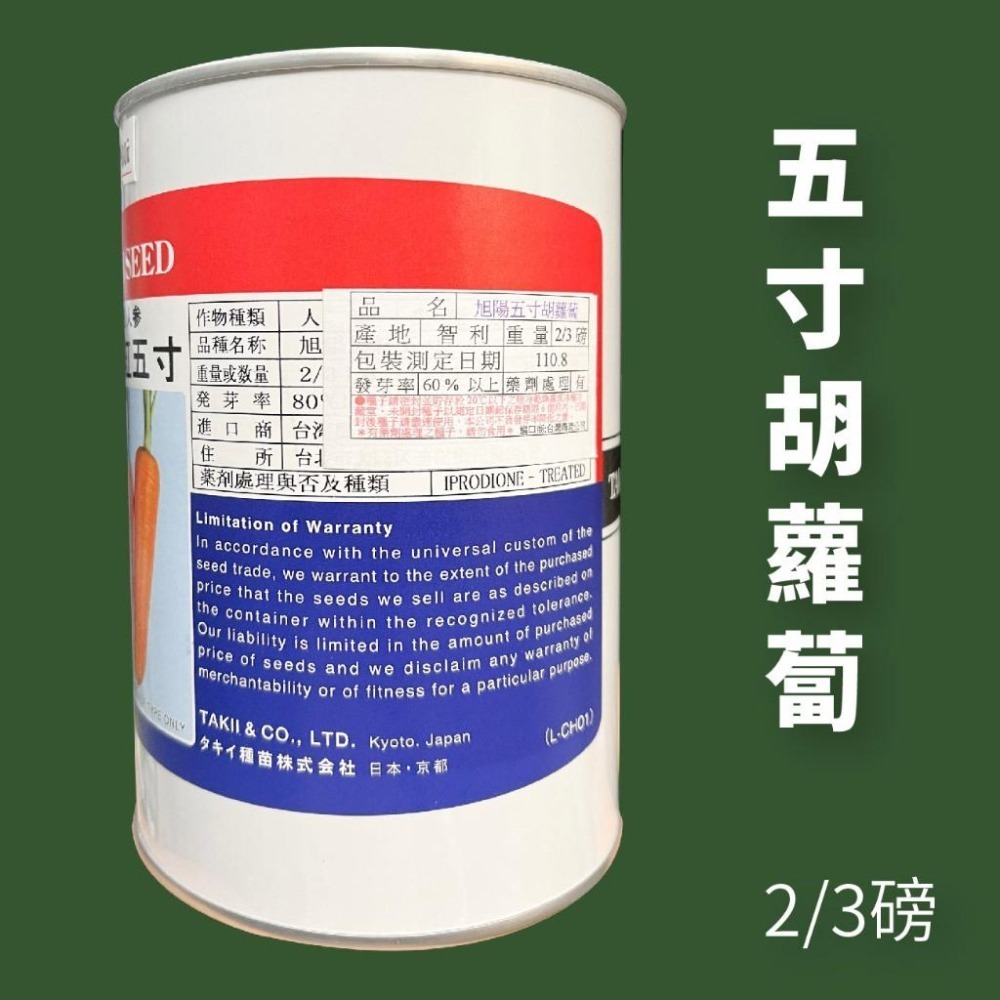 旭陽五寸胡蘿蔔種子｜紅蘿蔔種子｜胡蘿蔔｜專業種植｜專業品種｜專作戶｜蔬菜種子-細節圖2
