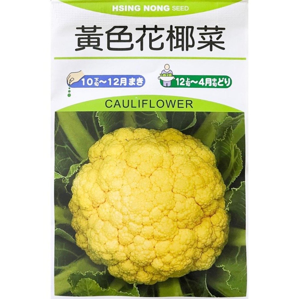 黃色花椰菜種子｜花椰菜種子｜專業種植｜日常好菜｜居家種植｜開心農場｜家庭園藝｜蔬菜專業戶｜蔬菜種子｜園藝-細節圖2