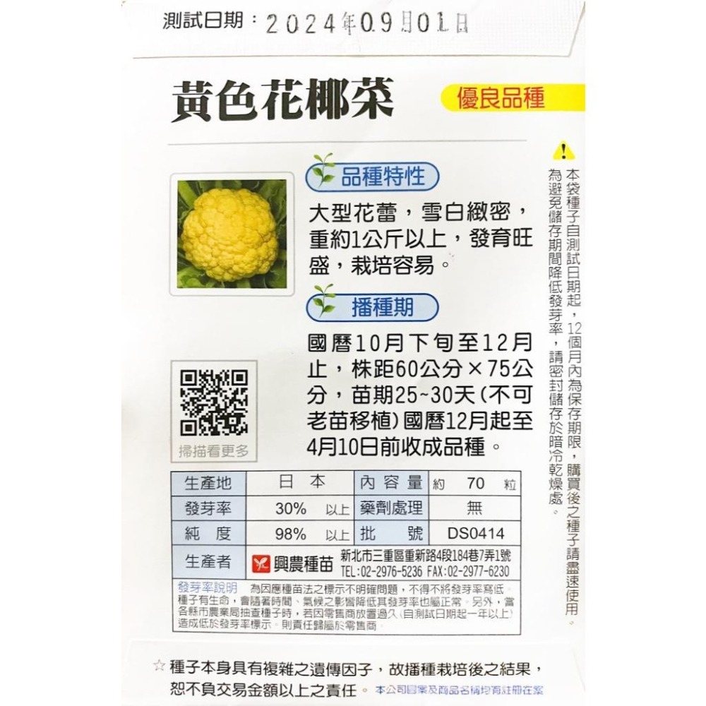 黃色花椰菜種子｜花椰菜種子｜專業種植｜日常好菜｜居家種植｜開心農場｜家庭園藝｜蔬菜專業戶｜蔬菜種子｜園藝-細節圖3