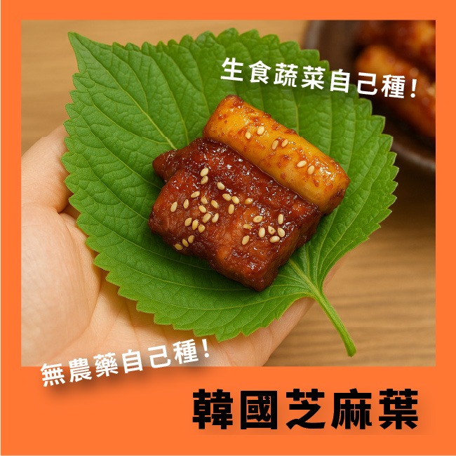 韓國芝麻葉種子｜適合韓式燒烤包肉、涼拌、煎餅｜營養蔬菜｜居家種植｜蔬菜專業戶｜蔬菜種子｜園藝 ｜超好發芽率｜開心農場-細節圖4