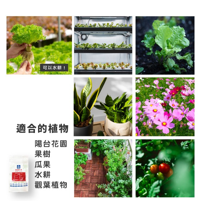 增強植物體質 水耕用肥｜肥料｜YaraTera™雅苒｜福鈣1號｜硝酸鈣｜專用蔬菜、瓜果花卉用肥｜水耕肥｜滴灌用肥-細節圖2