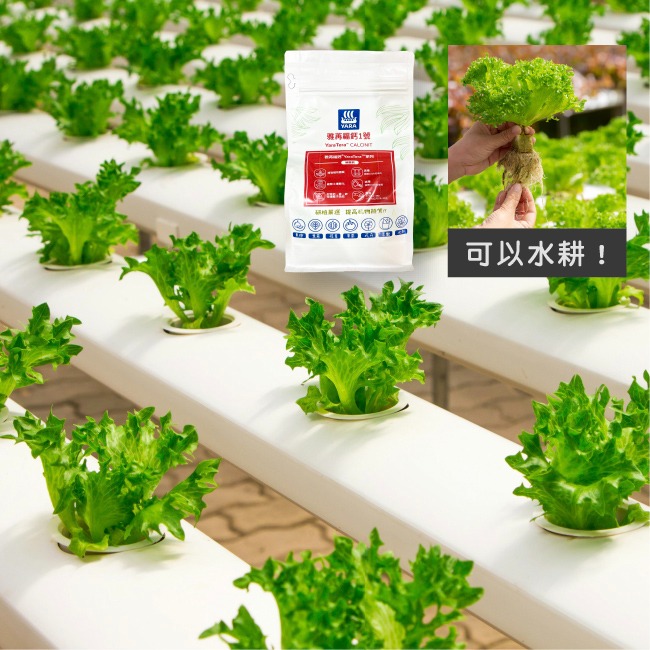 增強植物體質 水耕用肥｜肥料｜YaraTera™雅苒｜福鈣1號｜硝酸鈣｜專用蔬菜、瓜果花卉用肥｜水耕肥｜滴灌用肥-細節圖5