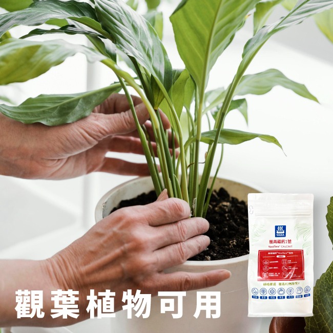 增強植物體質 水耕用肥｜肥料｜YaraTera™雅苒｜福鈣1號｜硝酸鈣｜專用蔬菜、瓜果花卉用肥｜水耕肥｜滴灌用肥-細節圖6