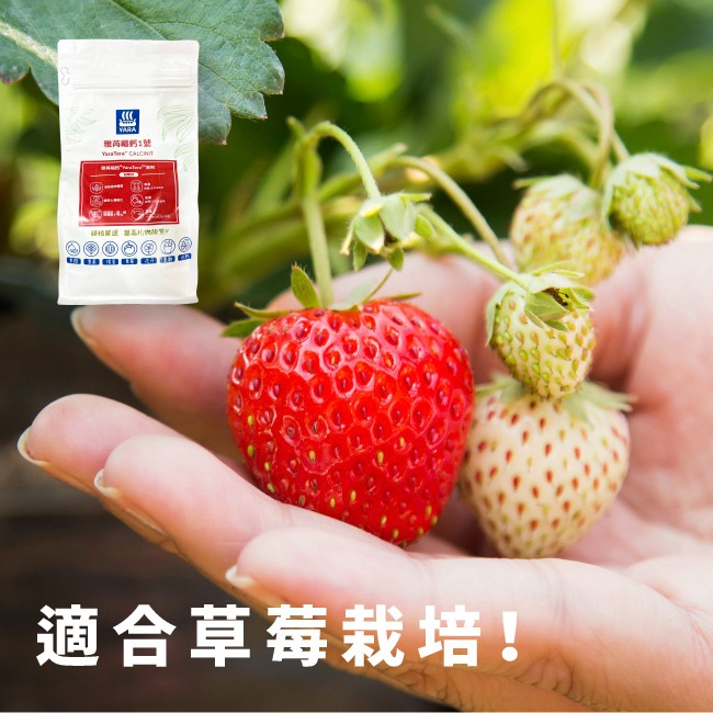 增強植物體質 水耕用肥｜肥料｜YaraTera™雅苒｜福鈣1號｜硝酸鈣｜專用蔬菜、瓜果花卉用肥｜水耕肥｜滴灌用肥-細節圖7