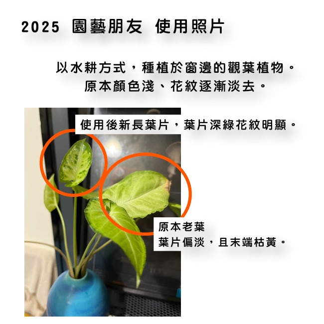 增強植物體質 水耕用肥｜肥料｜YaraTera™雅苒｜福鈣1號｜硝酸鈣｜專用蔬菜、瓜果花卉用肥｜水耕肥｜滴灌用肥-細節圖8