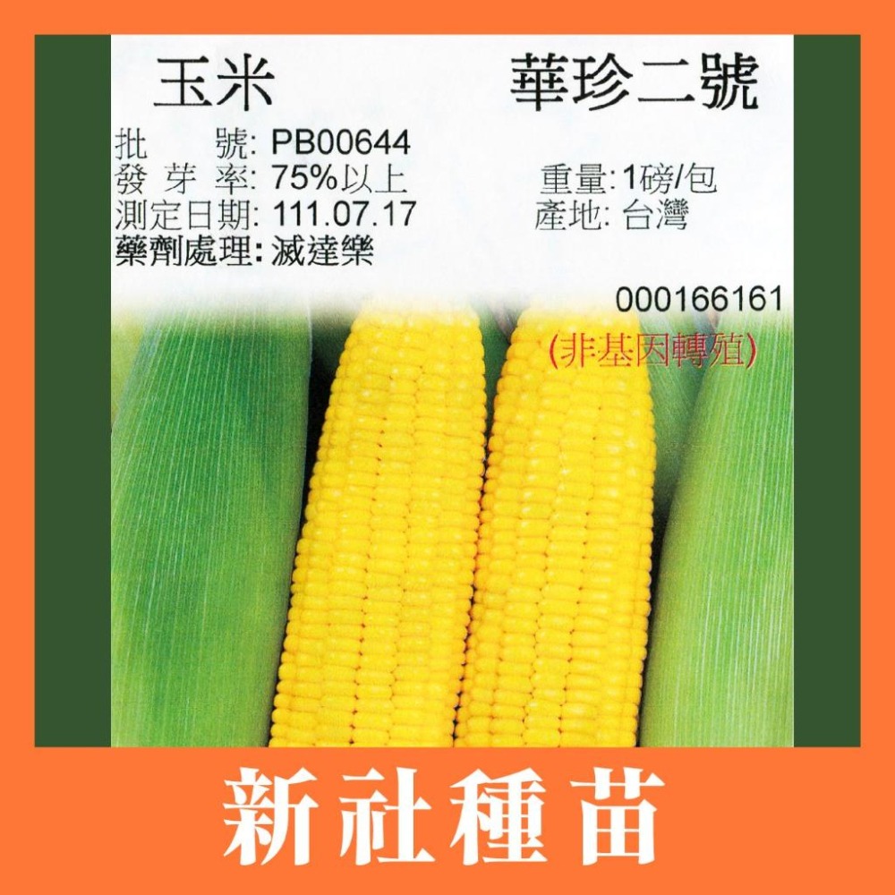 整磅原裝 玉米種子 彩虹糯玉米 大金密  雪白 甜糯玉米 紫香 甜糯玉米 美樂甜玉米 甜玉米 非基改-細節圖7