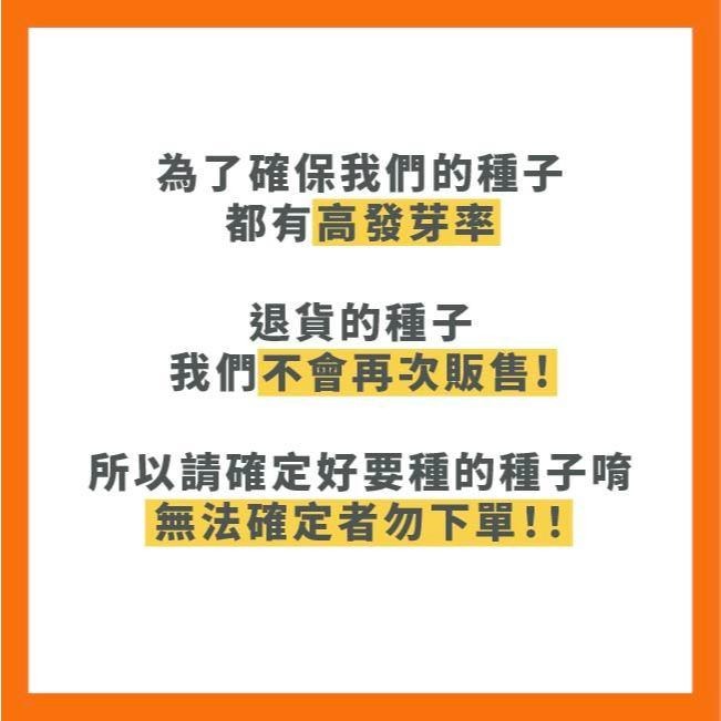 整磅原裝 玉米種子 彩虹糯玉米 大金密  雪白 甜糯玉米 紫香 甜糯玉米 美樂甜玉米 甜玉米 非基改-細節圖9
