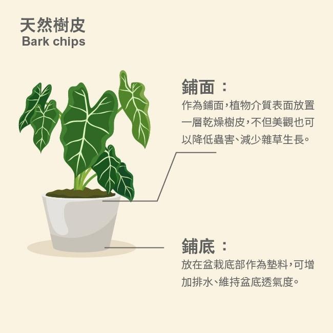 乾燥樹皮｜栽培介質｜觀葉植物｜鹿角蕨底部透氣料｜觀葉植物介質｜龜背芋｜氣根可用｜室內植物｜植物美觀｜-細節圖3