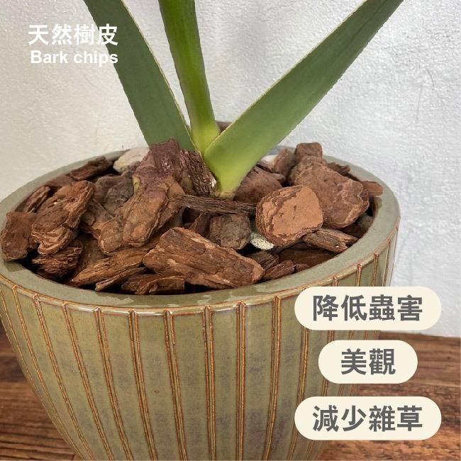 乾燥樹皮｜栽培介質｜觀葉植物｜鹿角蕨底部透氣料｜觀葉植物介質｜龜背芋｜氣根可用｜室內植物｜植物美觀｜-細節圖4