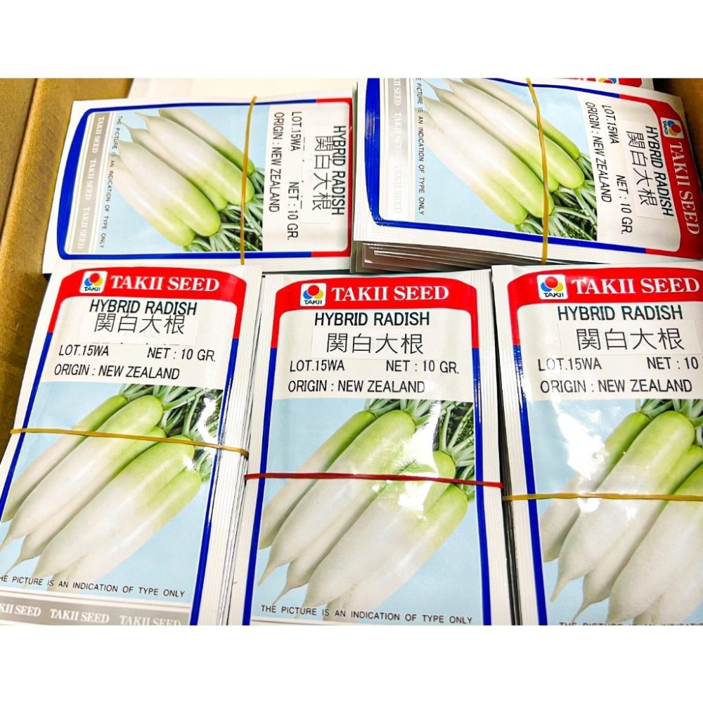 關白大根蘿蔔種子｜長蘿蔔種子｜白蘿蔔種子｜專業蔬菜種植專用｜開心農場｜蔬菜專業戶｜蔬菜種子｜園藝 ｜-細節圖2