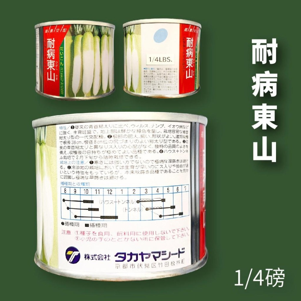 東山蘿蔔種子｜四分之一磅蘿蔔種子｜蘿蔔種子｜長蘿蔔種子｜專業蔬菜種植專用｜開心農場｜蔬菜專業戶｜蔬菜種子｜-細節圖2