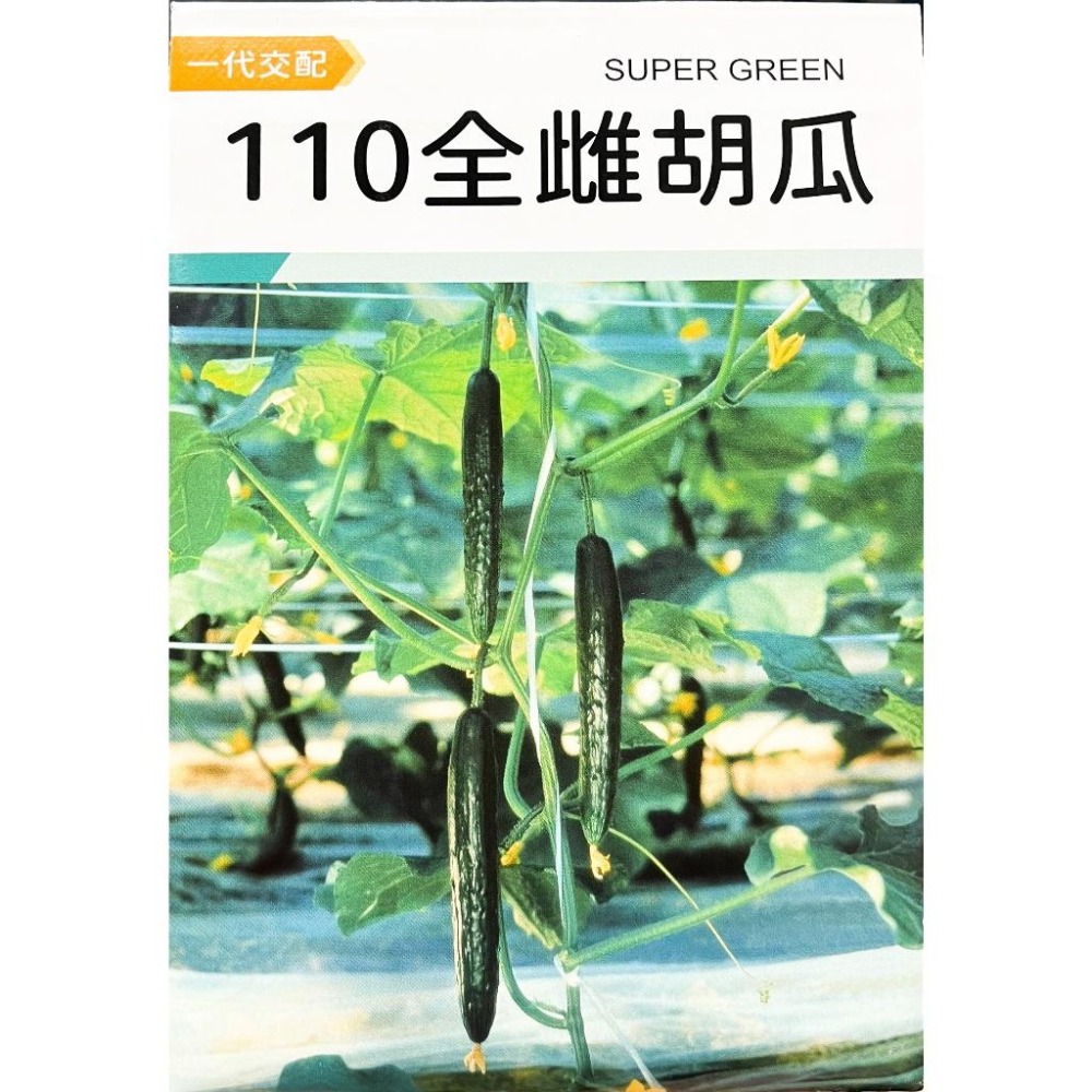 小黃瓜種子大全｜各種小黃瓜種子｜完整收錄｜全雌小黃瓜種子｜適合學校課程｜蔬菜專業戶｜蔬菜種子｜園藝 ｜天台小菜園｜-細節圖2