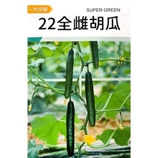 小黃瓜種子大全｜各種小黃瓜種子｜完整收錄｜全雌小黃瓜種子｜適合學校課程｜蔬菜專業戶｜蔬菜種子｜園藝 ｜天台小菜園｜-細節圖3