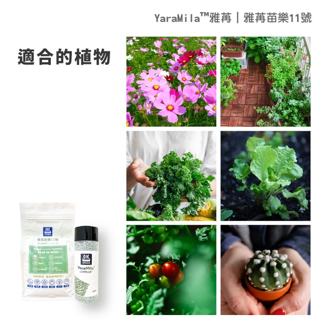 YaraMila™雅苒｜專用蔬菜、瓜果花卉用肥｜苗樂復合肥料11 號｜YaraMila Complex｜硼硝酸鈣肥-細節圖5