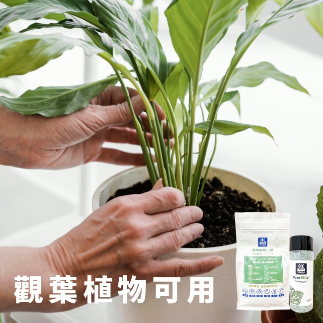 YaraMila™雅苒｜專用蔬菜、瓜果花卉用肥｜苗樂復合肥料11 號｜YaraMila Complex｜硼硝酸鈣肥-細節圖7