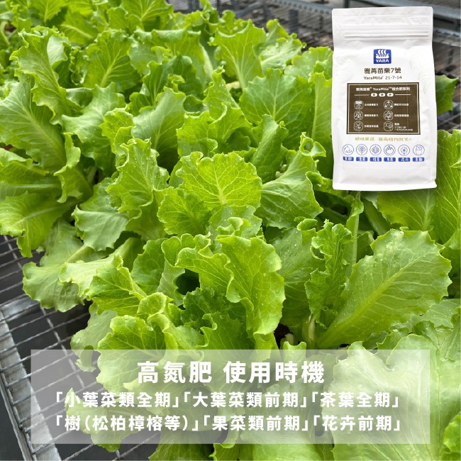 高氮肥｜植物恢復生機｜觀葉植物使用｜YaraMila™雅苒｜苗樂7號｜｜園藝肥料｜栽培用肥料｜陽台栽培｜專業使用｜陽台花-細節圖4