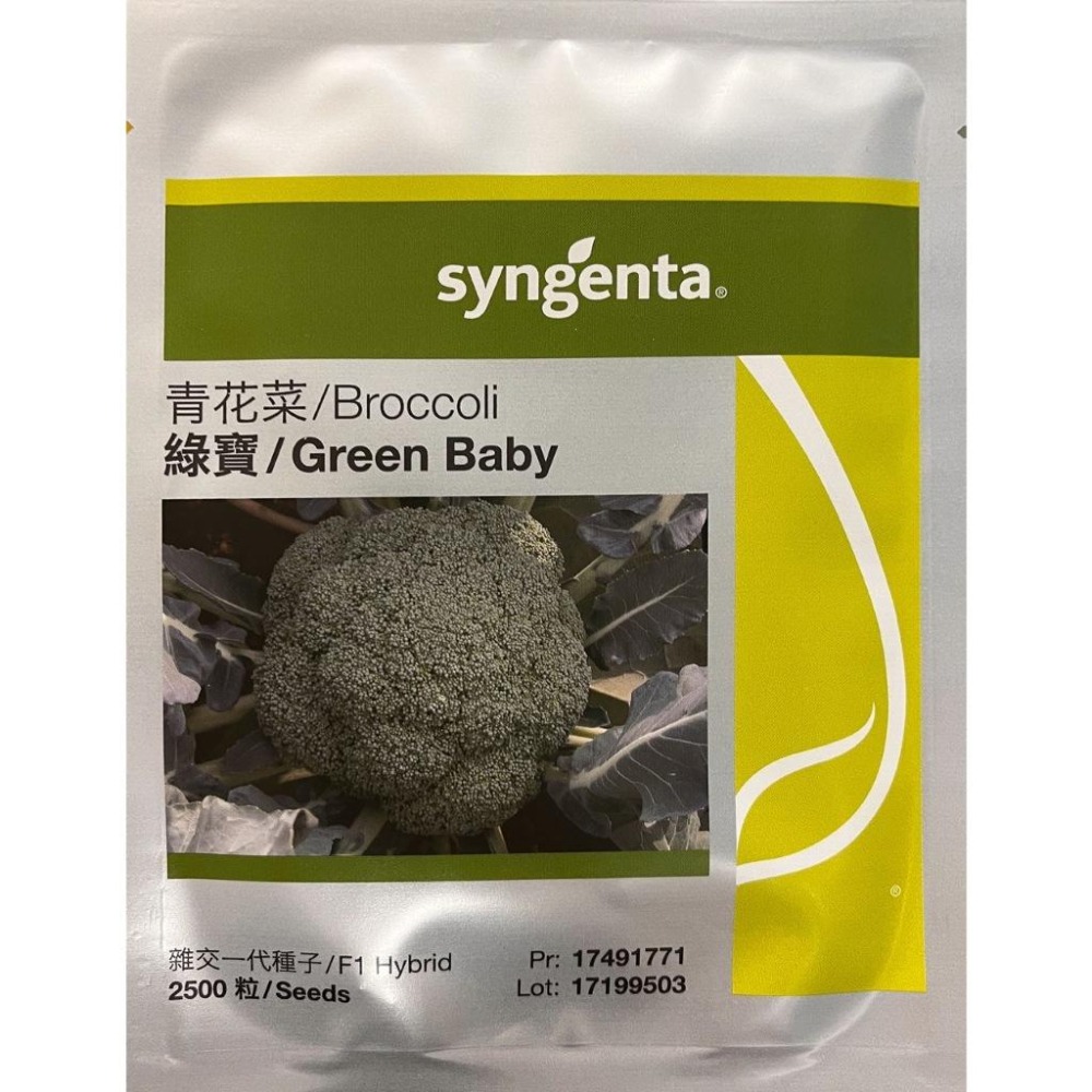 青花菜/Broccoli綠寶/Green Baby｜專業種子不分售｜專業種植用｜大量請聊聊-細節圖2