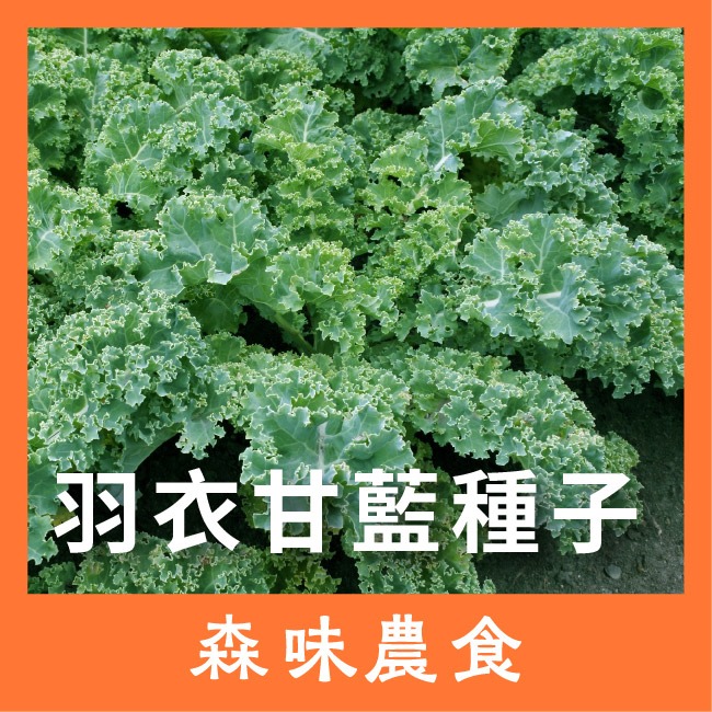 種子盲盒｜三款隨機種子＋加送一包｜豐富的菜園｜熱門種類隨機出貨｜開心農場｜樣台種植｜送一包免費｜給選擇障礙的你｜-細節圖2