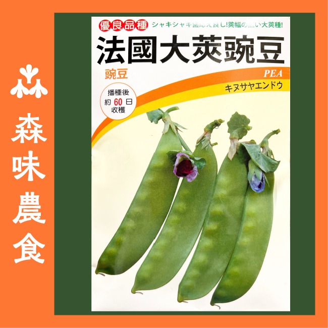 種子盲盒｜三款隨機種子＋加送一包｜豐富的菜園｜熱門種類隨機出貨｜開心農場｜樣台種植｜送一包免費｜給選擇障礙的你｜-細節圖6