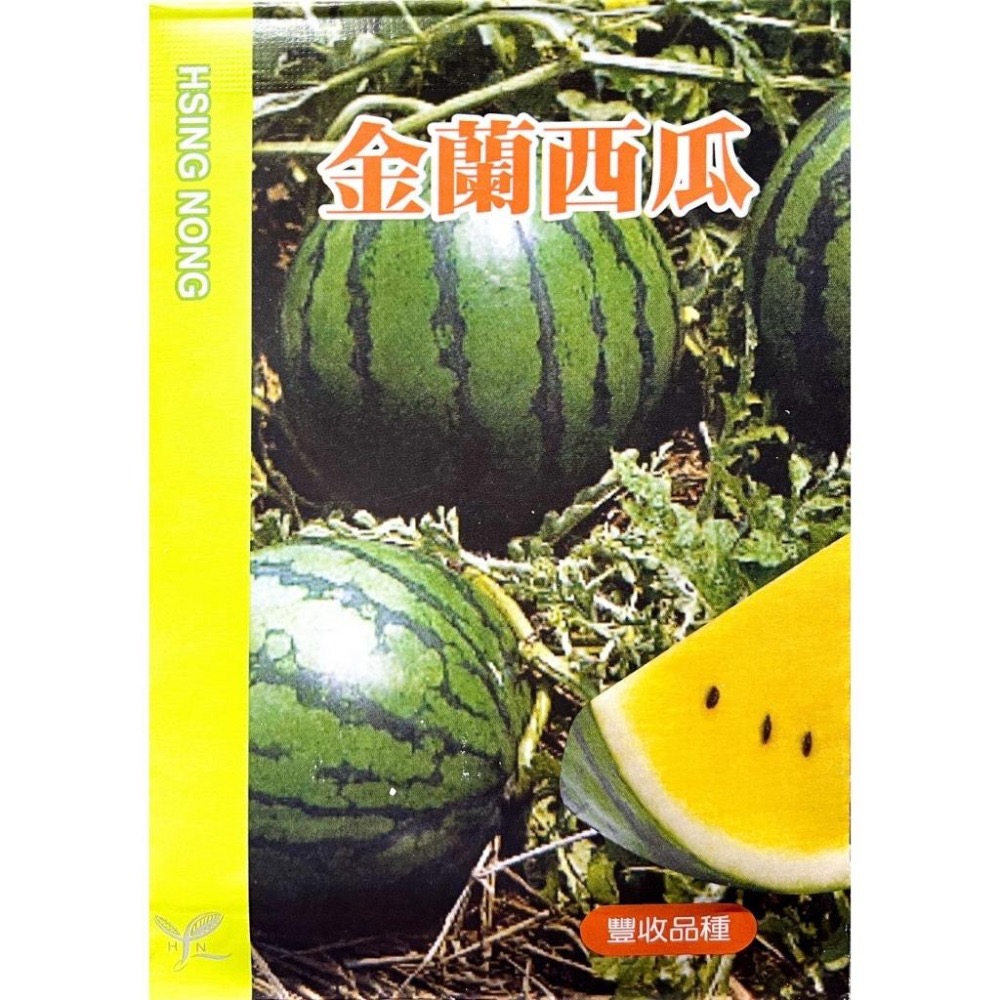 金蘭西瓜種子｜黃西瓜｜結果力強｜甜度12~13度左右｜開心農場｜日常好菜｜居家種植｜蔬菜專業戶｜蔬菜種子｜園藝-細節圖2