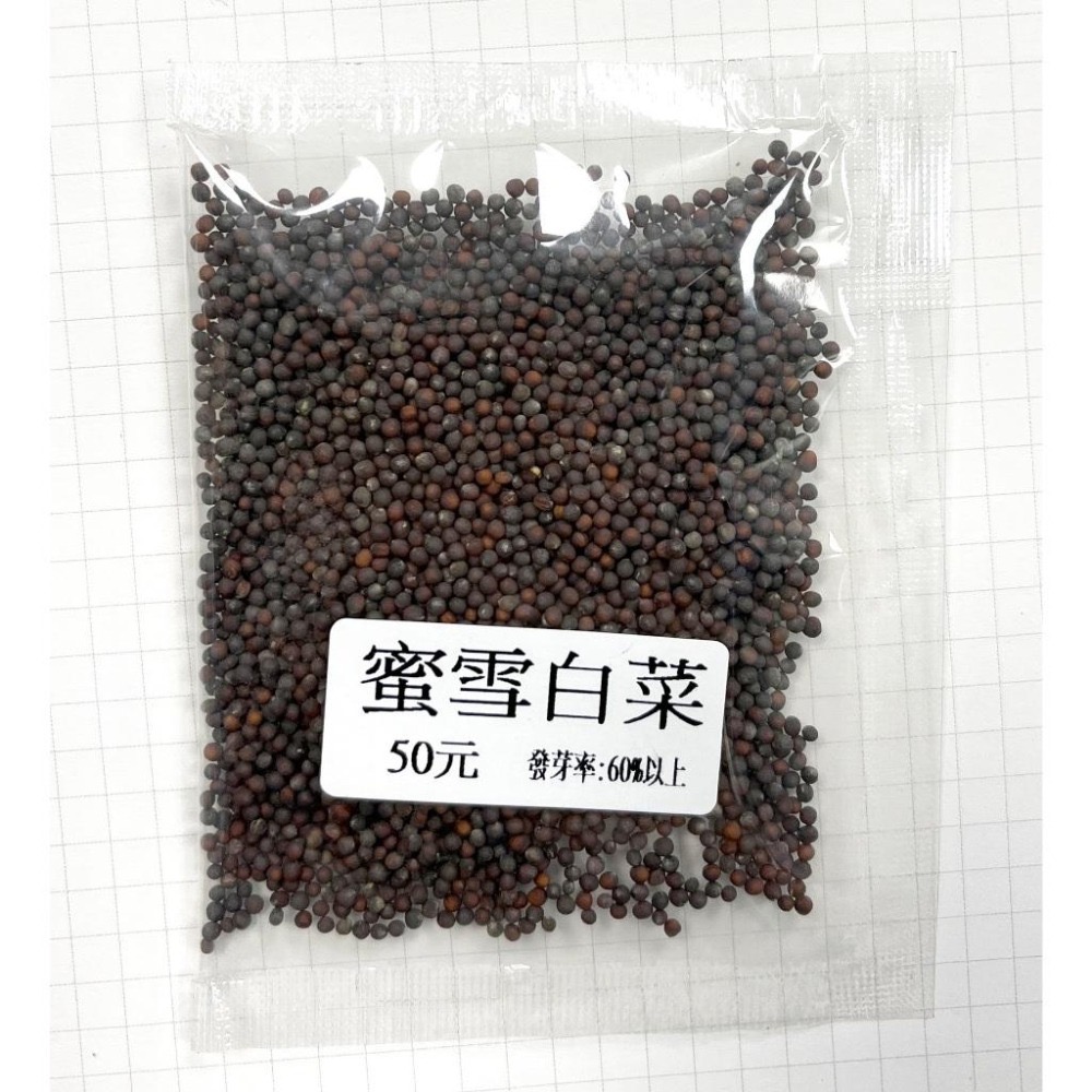 蜜雪白菜種子｜專業蔬菜種子｜熱門品種｜好種｜小農種植｜開心農場｜居家種植｜蔬菜專業戶｜蔬菜種子｜園藝 ｜高發芽率｜-細節圖2