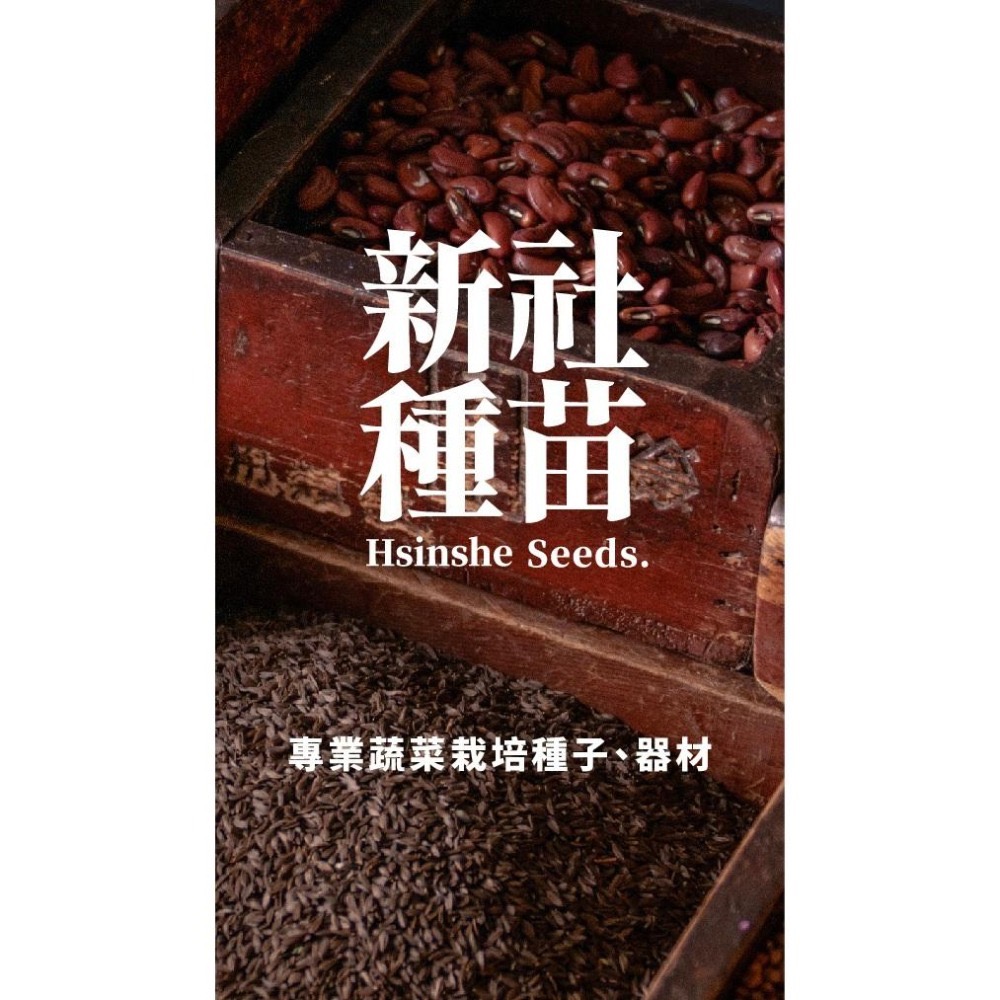 蜜雪白菜種子｜專業蔬菜種子｜熱門品種｜好種｜小農種植｜開心農場｜居家種植｜蔬菜專業戶｜蔬菜種子｜園藝 ｜高發芽率｜-細節圖9