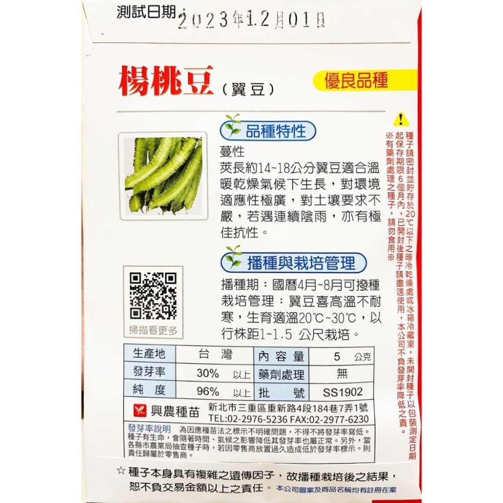 楊桃豆種子｜翼豆種子｜需搭棚架｜開心農場｜日常好菜｜居家種植｜蔬菜專業戶｜蔬菜種子｜園藝 ｜-細節圖3