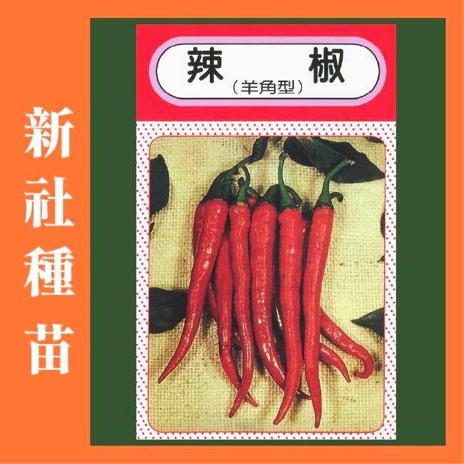 辣椒種子｜羊角型辣椒｜常見的辣椒｜容易種植｜開心農場｜新手入門款｜居家種植｜都市農耕｜蔬菜專業戶｜蔬菜種子-細節圖2