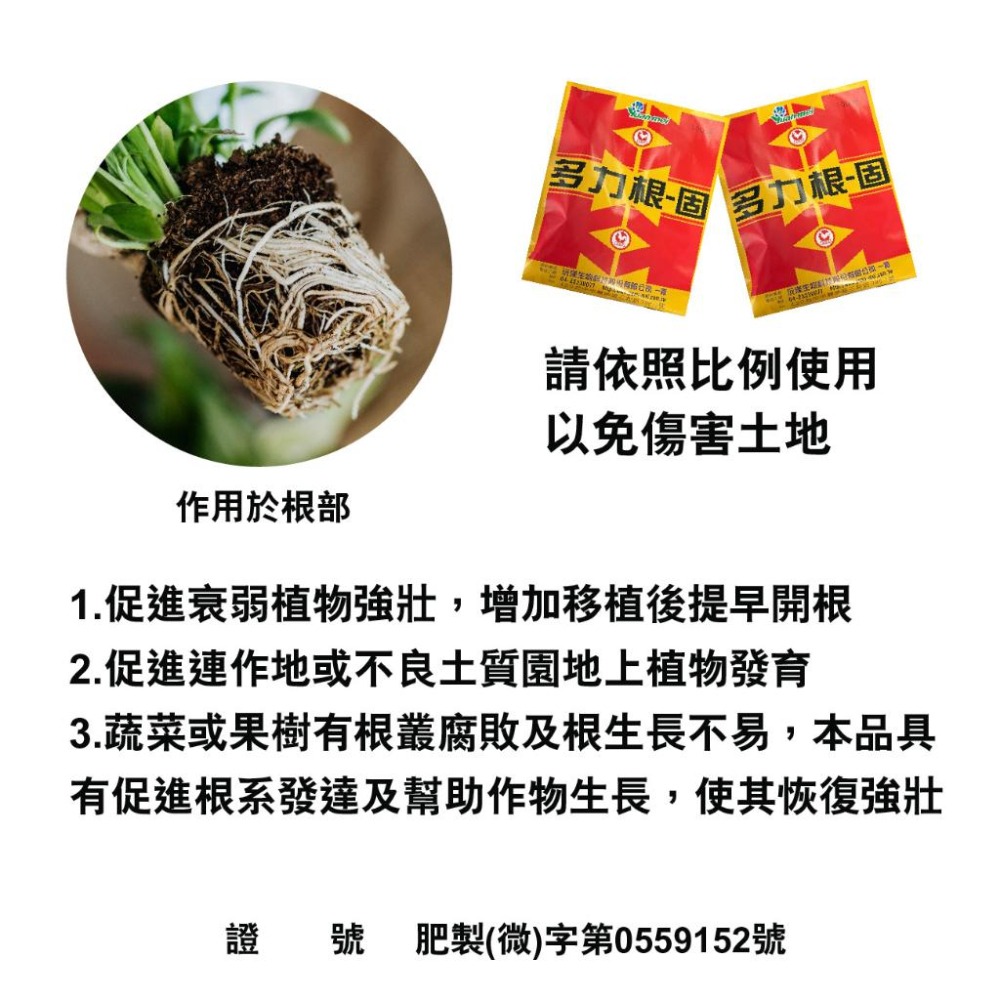 多力根固｜開根｜促進開根｜挽救垂死植物｜根欉腐敗救星｜防根系老化｜促進肥料吸收｜根生長｜肥效快速｜果樹｜園藝｜-細節圖6