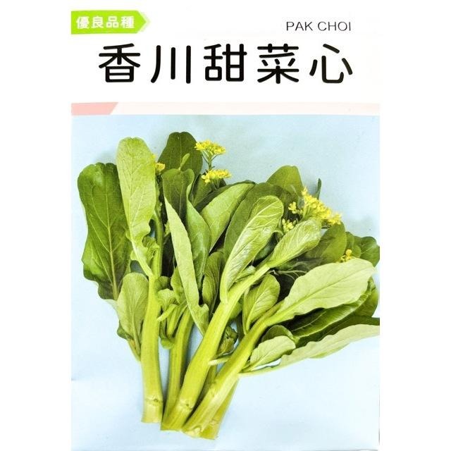 香川甜菜心 種子｜全年可種植｜開心農場｜日常好菜｜居家種植｜蔬菜專業戶｜蔬菜種子｜園藝 ｜-細節圖2
