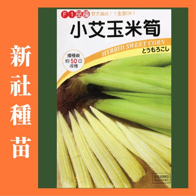 玉米種子大全｜彩虹玉米種子｜糯玉米種子｜甜玉米種子｜開心農場｜小農種植｜蔬菜專業戶｜蔬菜種子｜園藝 ｜高發芽率-細節圖4