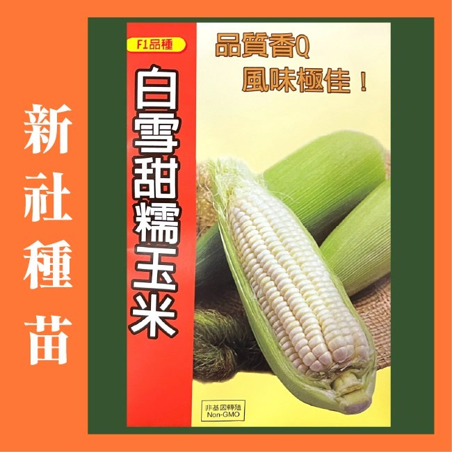 玉米種子大全｜彩虹玉米種子｜糯玉米種子｜甜玉米種子｜開心農場｜小農種植｜蔬菜專業戶｜蔬菜種子｜園藝 ｜高發芽率-細節圖5