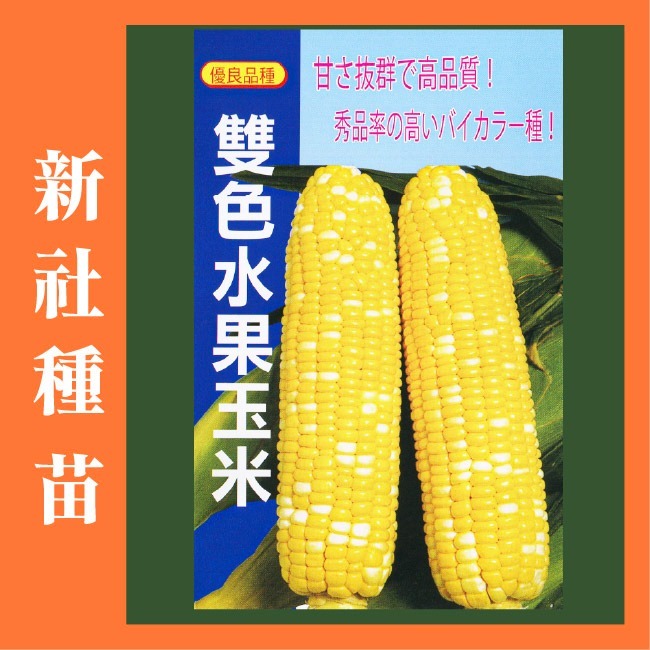 玉米種子大全｜彩虹玉米種子｜糯玉米種子｜甜玉米種子｜開心農場｜小農種植｜蔬菜專業戶｜蔬菜種子｜園藝 ｜高發芽率-細節圖10