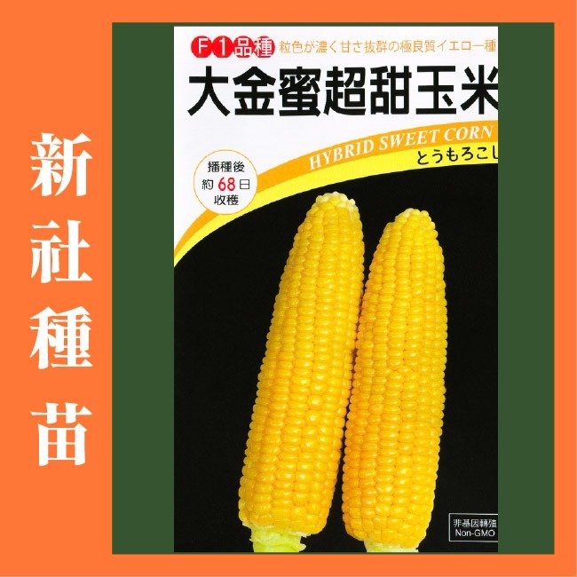 玉米種子大全｜彩虹玉米種子｜糯玉米種子｜甜玉米種子｜開心農場｜小農種植｜蔬菜專業戶｜蔬菜種子｜園藝 ｜高發芽率-規格圖11