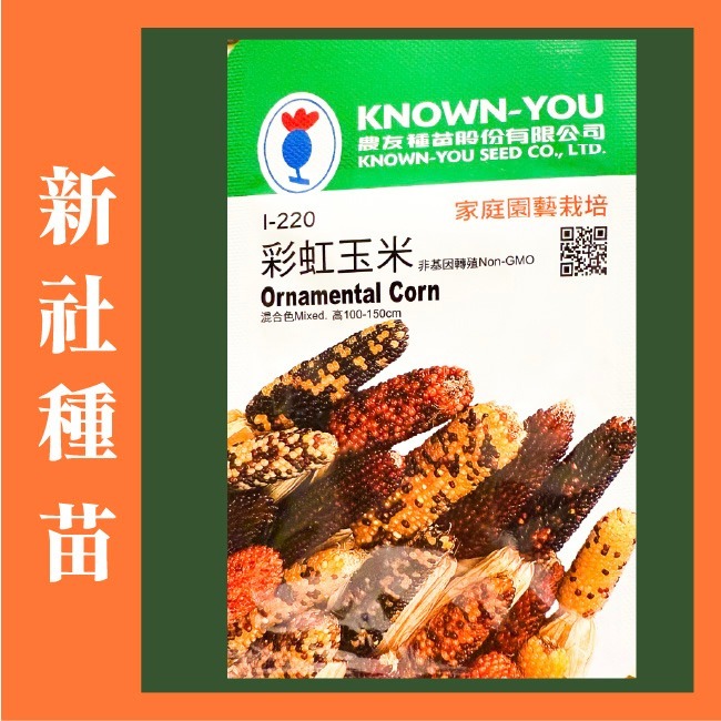 玉米種子大全｜彩虹玉米種子｜糯玉米種子｜甜玉米種子｜開心農場｜小農種植｜蔬菜專業戶｜蔬菜種子｜園藝 ｜高發芽率-規格圖11