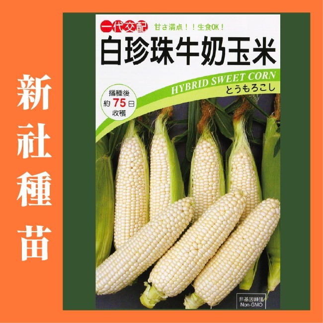玉米種子大全｜彩虹玉米種子｜糯玉米種子｜甜玉米種子｜開心農場｜小農種植｜蔬菜專業戶｜蔬菜種子｜園藝 ｜高發芽率-規格圖11
