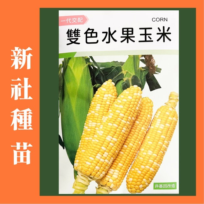 玉米種子大全｜彩虹玉米種子｜糯玉米種子｜甜玉米種子｜開心農場｜小農種植｜蔬菜專業戶｜蔬菜種子｜園藝 ｜高發芽率-規格圖11