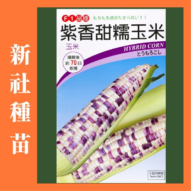 玉米種子大全｜彩虹玉米種子｜糯玉米種子｜甜玉米種子｜開心農場｜小農種植｜蔬菜專業戶｜蔬菜種子｜園藝 ｜高發芽率-規格圖11
