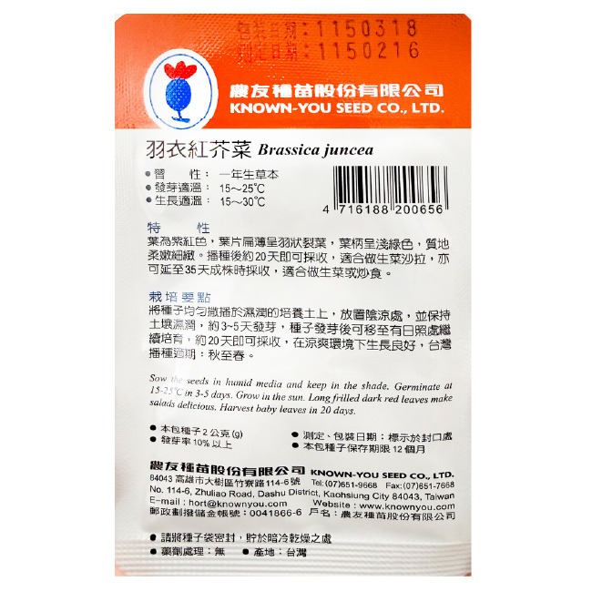 羽衣紅芥菜種子｜貝比蔬菜｜小生菜｜小顆就可以吃｜20天即可採收 ｜高級沙拉專用｜沙拉點綴｜生菜沙拉自己種｜點單快速收成｜-細節圖2