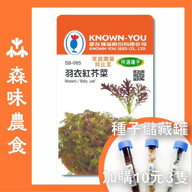 羽衣紅芥菜種子｜貝比蔬菜｜小生菜｜小顆就可以吃｜20天即可採收 ｜高級沙拉專用｜沙拉點綴｜生菜沙拉自己種｜點單快速收成｜-規格圖7