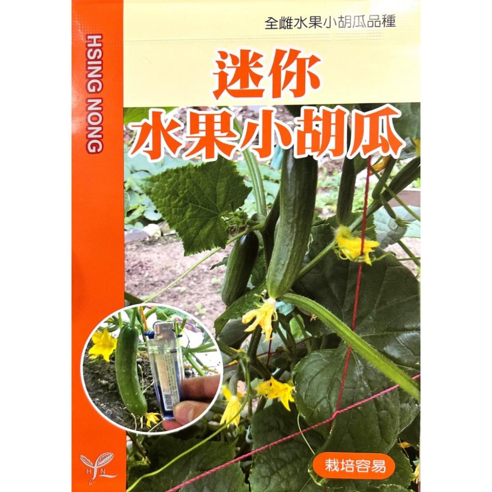 水果小黃瓜種子｜全雌｜開心農場｜居家種植｜蔬菜專業戶｜蔬菜種子｜都市農耕｜園藝 ｜-細節圖2