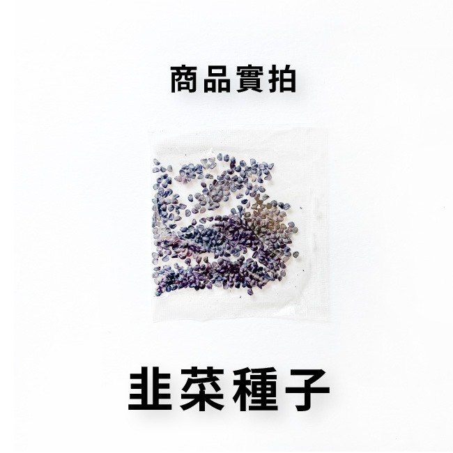 韭菜種子｜全年可種｜半日照蔬菜｜日本大葉種｜居家種植｜連續採收｜蔬菜專業戶｜蔬菜種子｜園藝 ｜超高發芽率-細節圖5