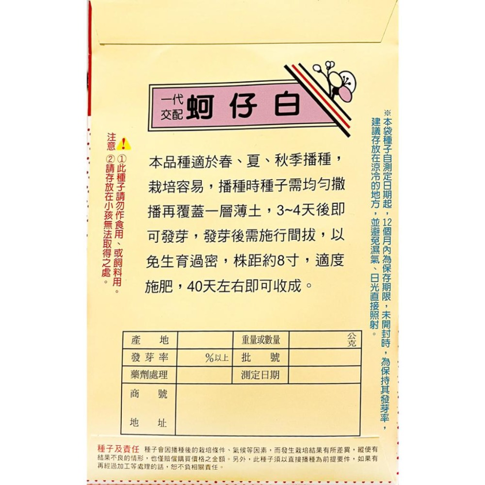 蚵仔白菜種子｜新手入門款｜30天即採收｜居家種植｜蔬菜種子｜園藝 ｜居家種植｜蔬菜專業戶｜良好發芽率-細節圖3