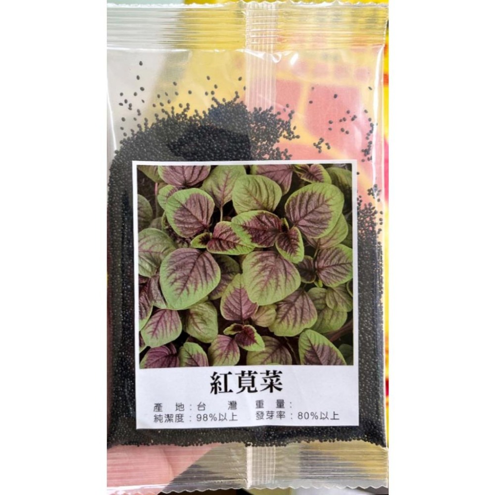 莧菜種子｜白（青）葉莧菜｜尖莧菜｜紅莧菜｜開心農場｜新手入門款｜居家種植｜都市農耕｜蔬菜專業戶｜蔬菜種子｜園藝 ｜-細節圖3