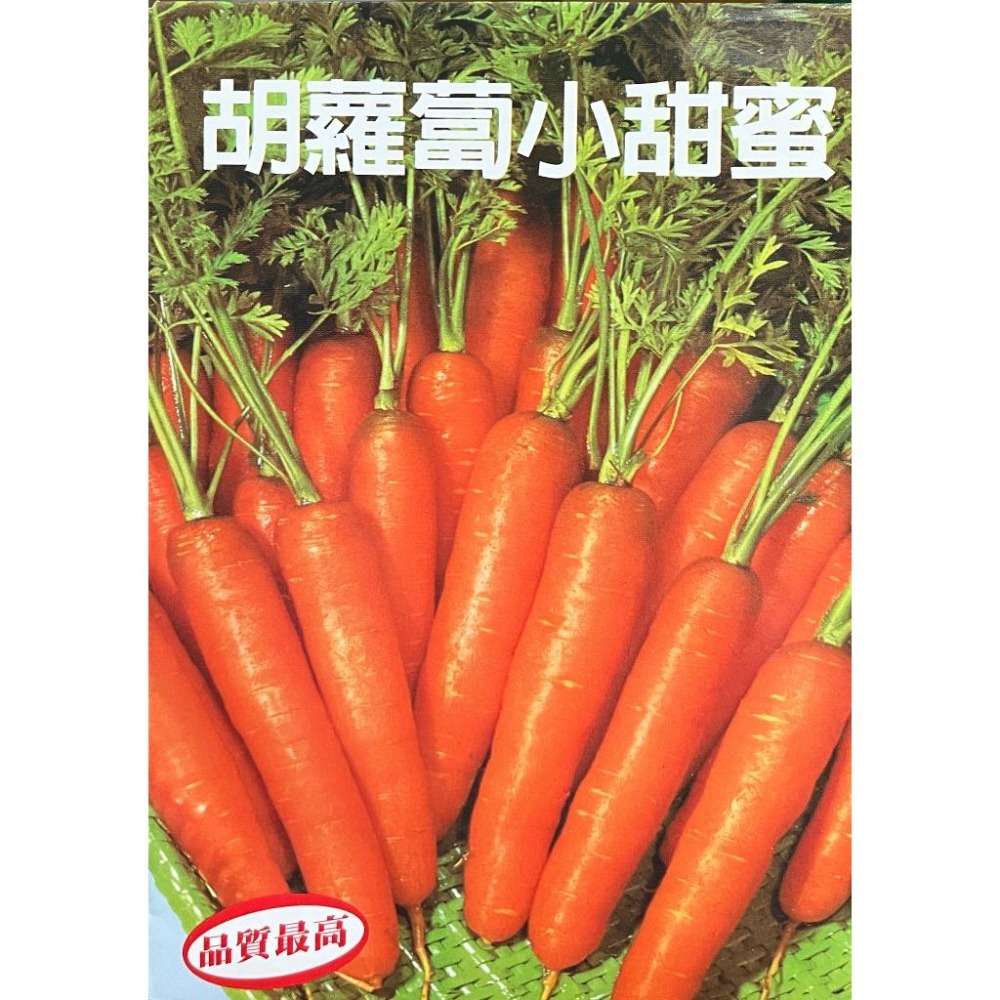 紅蘿蔔種子大全｜120天左右採收｜開心農場｜居家種植｜蔬菜專業戶｜蔬菜種子｜園藝 ｜蔬果｜根莖類｜自耕農｜都市農耕-細節圖2