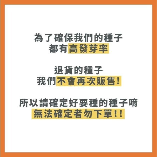 紅蘿蔔種子大全｜120天左右採收｜開心農場｜居家種植｜蔬菜專業戶｜蔬菜種子｜園藝 ｜蔬果｜根莖類｜自耕農｜都市農耕-細節圖9