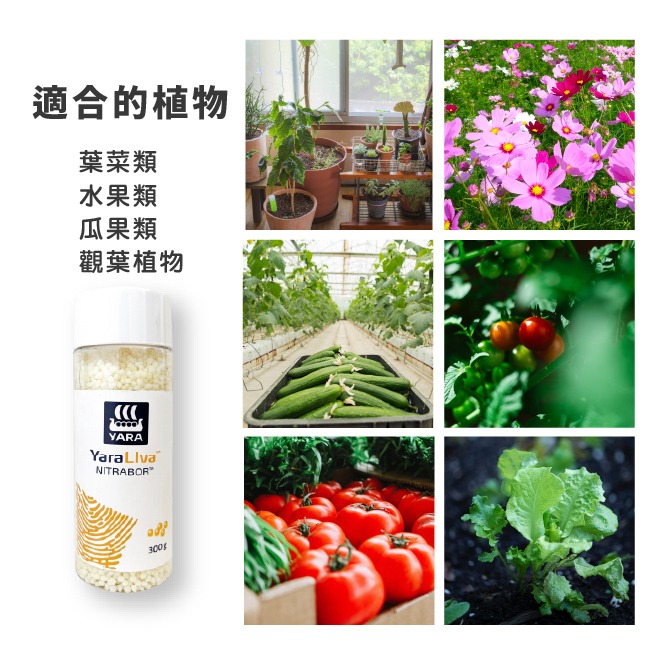 YaraLiva™雅苒｜雅苒福鈣2號肥料｜ YaraLiva NITRABOR｜硼硝酸鈣肥｜蔬菜 、瓜果、花卉適用-細節圖6