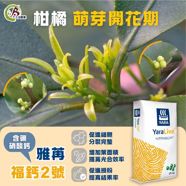 YaraLiva™雅苒｜雅苒福鈣2號肥料｜ YaraLiva NITRABOR｜硼硝酸鈣肥｜蔬菜 、瓜果、花卉適用-細節圖7